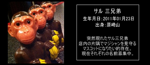 �T���O�Z��